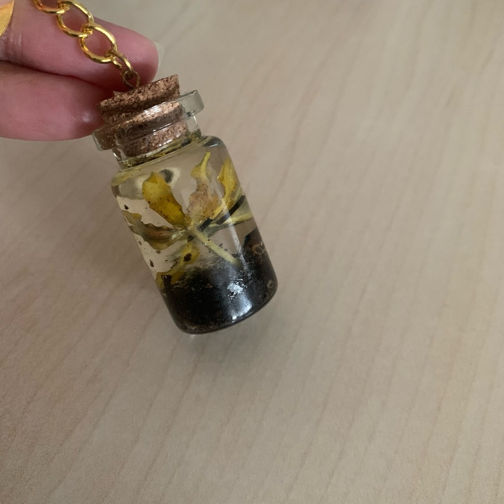 Keychain-plants - Picture 2 of 4